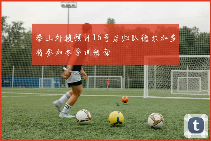 泰山外援预计16号后归队德尔加多将参加冬季训练营