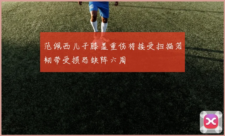 范佩西儿子膝盖重伤将接受扫描若韧带受损恐缺阵六周